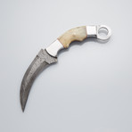 Damascus Fixed Blade Karambit Knife