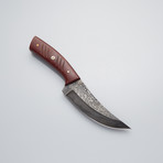 Damascus Skinner Knife // Maroon Micarta