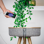 Studio Smart Table // Built In 360° Bluetooth Speaker + Wireless Qi Charger (Light Ash)