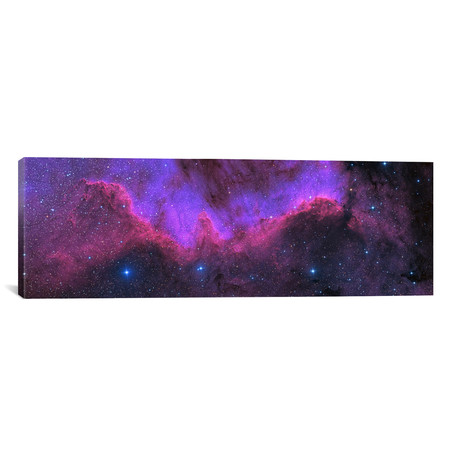 Cygnus Wall // NGC 7000 // The North American Nebula // Ken Crawford (36"W x 12"H x 0.75"D)
