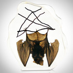 Hanging Bat // Resin Display