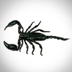 Scorpion Palamnaersus Authentic Taxidermy // Custom Shadow Box Frame