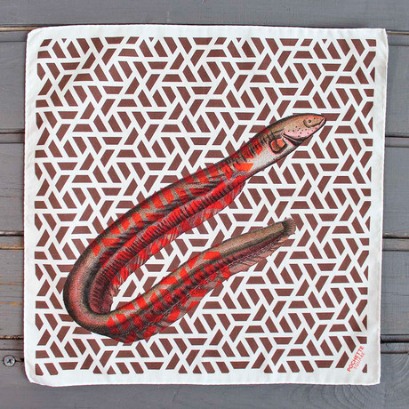 Eel // Red + Brown