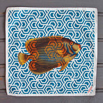 Fish // Blue + Yellow