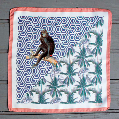 Un Singe en Eté // Blue + Pink