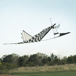 RC Ready-to-Fly Kite // Canard Generation I // Black Op-Art