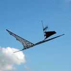 RC Ready-to-Fly Kite // Canard Generation I // Black Op-Art