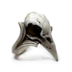 Raven Skull Ring (Size: 5)