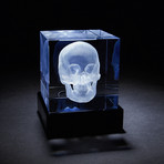 Skull Crystal + LED Base