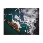 Frozen (24"W x 30"H)