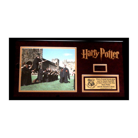 Harry Potter Broom Shard