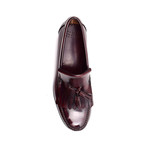 Magnus // Bordeaux (Euro: 46)