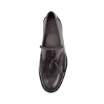 Zayn // Grey (Euro: 39)