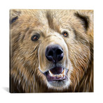 Brown Bear (18"W x 18"H x 0.75"D)