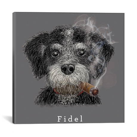 Fidel Cuban Native // Vin Zzep (18"W x 18"H x 0.75"D)