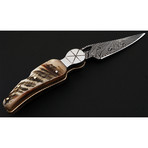 Damascus Steel Folding Knife // Back-Lock