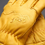 4-Season Gloves  (XL)