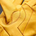 4-Season Gloves  (XL)