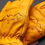Classic Gloves (Medium)