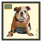 "Men's Best Bully" Dimensional Graphic Collage Framed Under Tempered Glass Wall Art