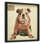 "Men's Best Bully" Dimensional Graphic Collage Framed Under Tempered Glass Wall Art