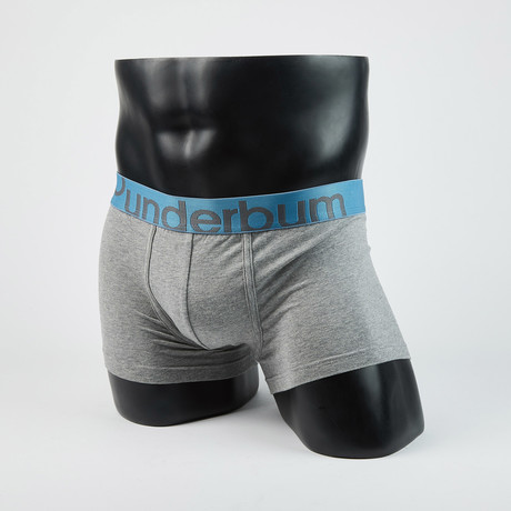 Heather Padded Boxer Trunk // Heather Gray (S)