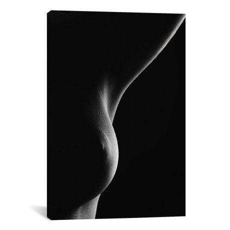 Nude Detail // Jan Blasko (18"W x 26"H x 0.75"D)