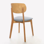 Diana Dining Chair // Set of 2