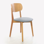 Diana Dining Chair // Set of 2