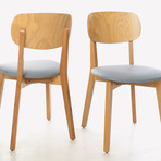 Diana Dining Chair // Set of 2
