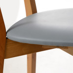 Diana Dining Chair // Set of 2