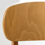 Diana Dining Chair // Set of 2