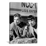 William Shatner + Leonard Nimoy // Star Trek (26"W x 18"H x 0.75"D)