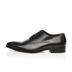 Dress Elegant Brogue Oxford // Black (Euro: 44)