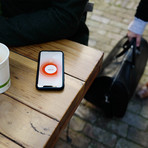 Stilla Motion // Silver