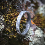 The Quicksilver Ultralight (7)