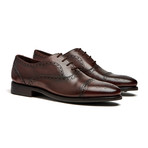 Brown Cap-Toe Brogues // Goodyear Welted Construction // Chocolate Brown (US: 8)