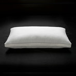 100% Cotton Mesh Gusseted Memory Fiber Pillow (Standard)