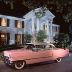 Elvis Presley // 1955 Cadillac Fleetwood 1:18 // Premium Display