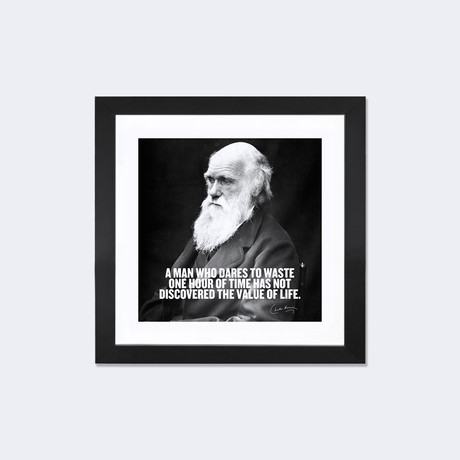 Charles Darwin Quote (16"W x 16"H x 1"D)