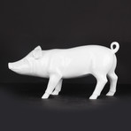 Little Piggie // White