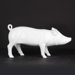 Little Piggie // White