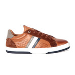 Ray // Cognac + Gray + Whte (Euro: 45)