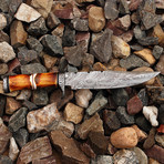 Damascus Hunting Knife