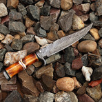 Damascus Hunting Knife