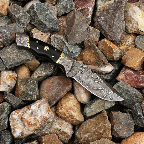 Damascus Skinner Knife // FRB-301118