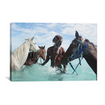 Horses In Bahamas (18"W x 26"H x 0.75"D)