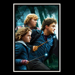 Harry Potter And The Deathly Hallows Script // Limited Edition // Custom Frame