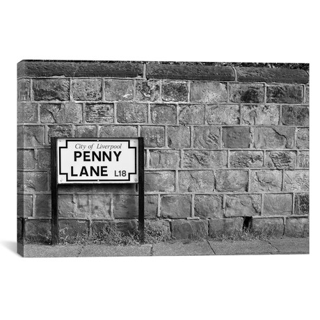 Penny Lane // Honeymoon Hotel (26"W x 18"H x 0.75"D)