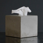 Concrete Tissue Box Cover